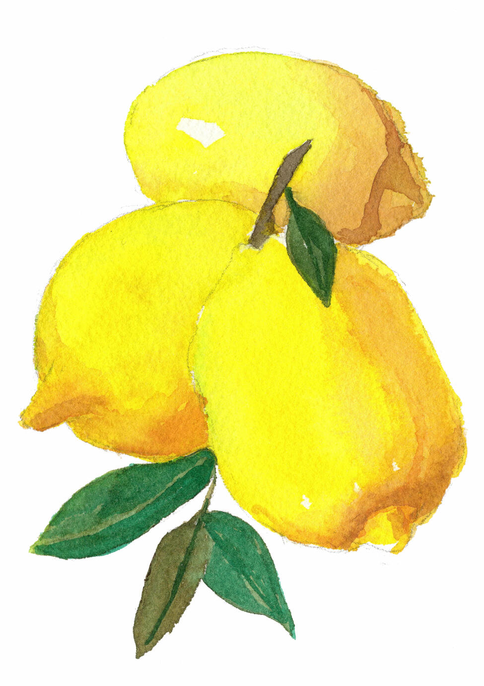 Summer lemons